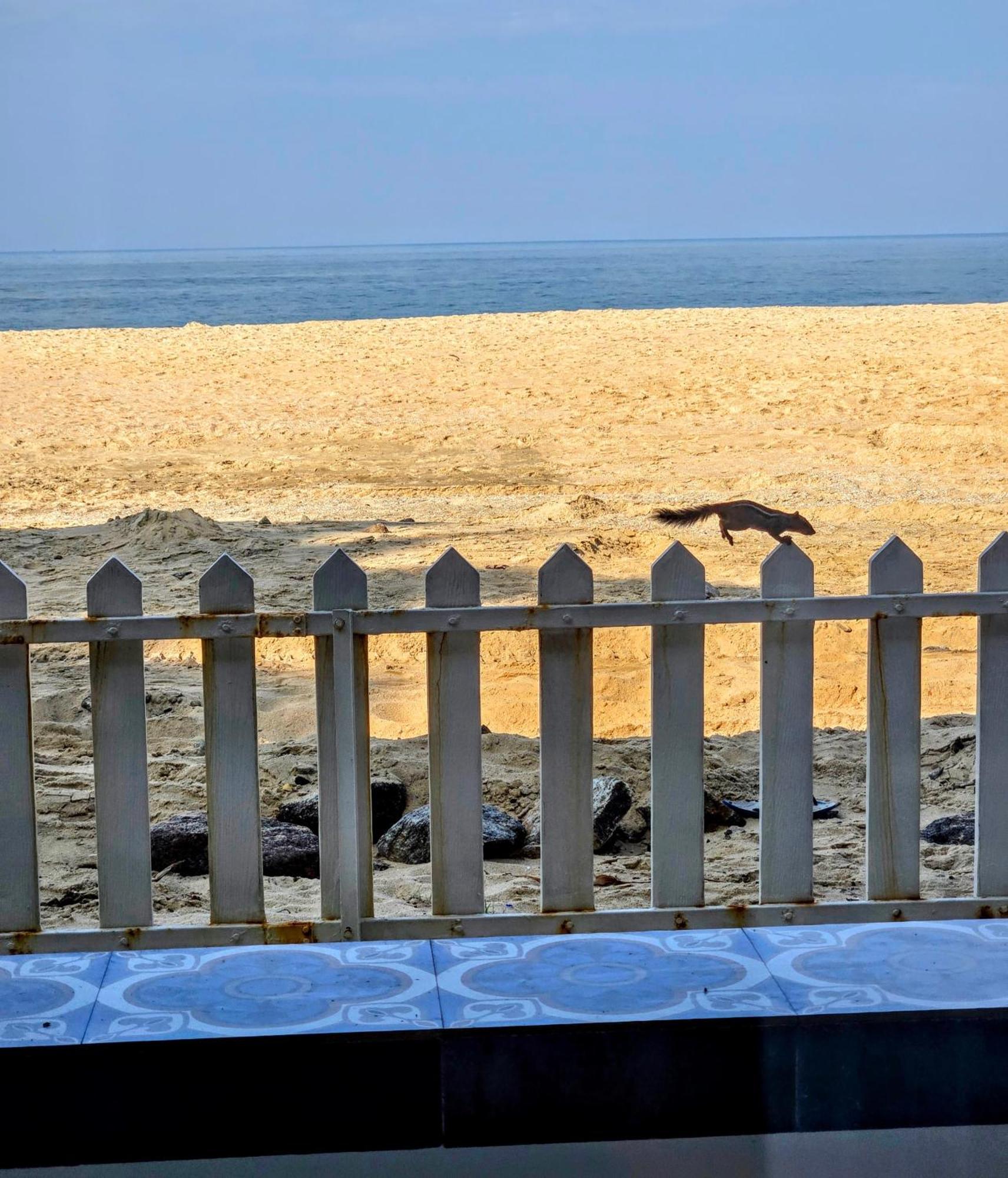 Ether Marari Beachfront Mararikulam Luaran gambar